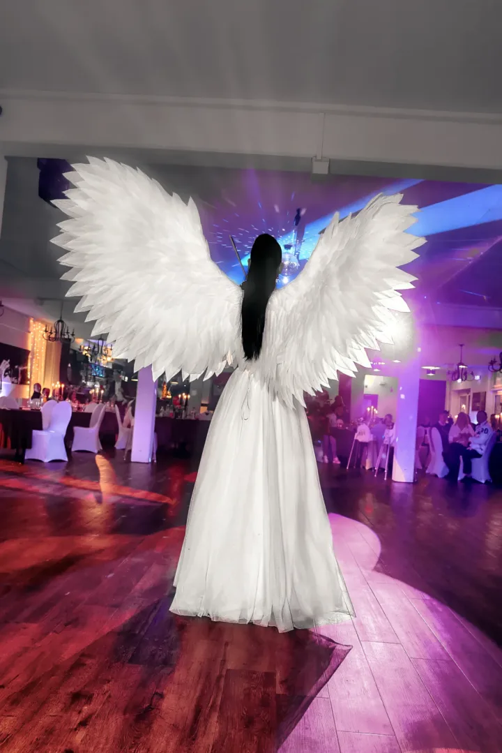 Eventfotografie Hamburg – Lichtshow zum Geburtstag